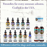 EARTH ANIMAL Organic Herbal Remedies (Allergy & Skin, 2 oz) EARTH ANIMAL Organic Herbal Remedies (Allergy & Skin, 2 oz)